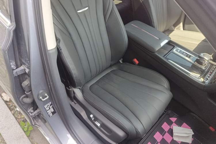 Used Hongqi H5 2024 2.0T Automatic Smart Connect Flagship Edition Right Front Seat