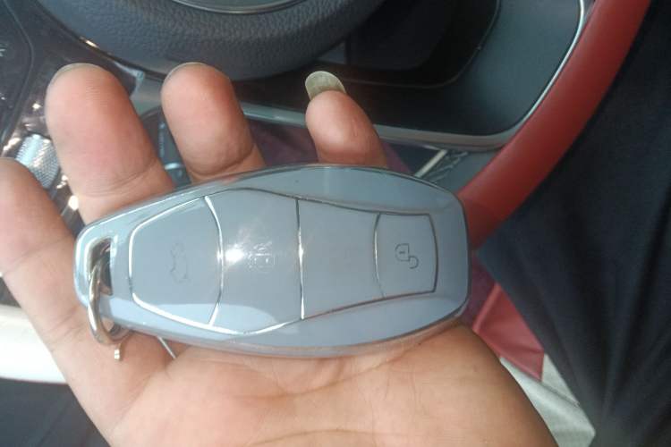 Used Hongqi H5 2024 2.0T Automatic Smart Connect Flagship Edition Vehicle Key