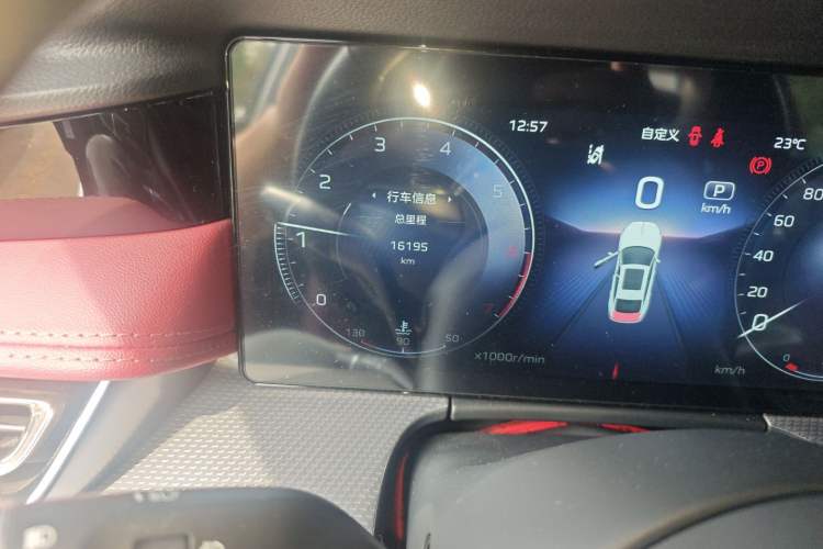 Used Hongqi H5 2024 2.0T Automatic Smart Connect Flagship Edition Odometer Close Up