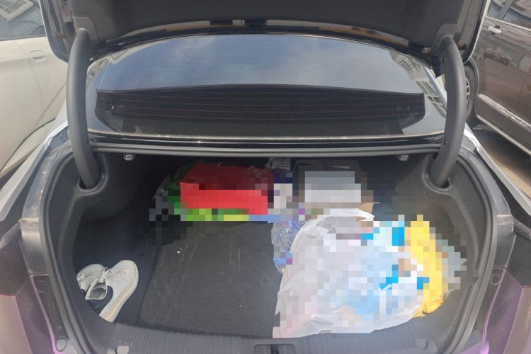 Used Hongqi H5 2024 2.0T Automatic Smart Connect Flagship Edition Trunk