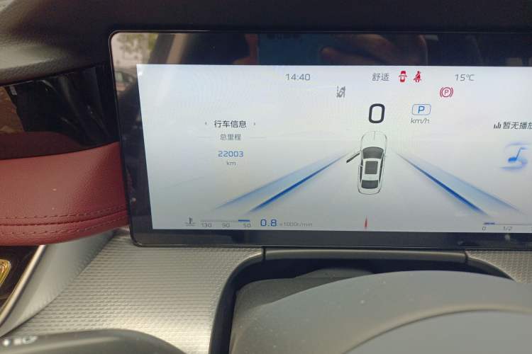 Used Hongqi H5 2024 2.0T Automatic Smart Connect Flagship Edition Odometer Close Up