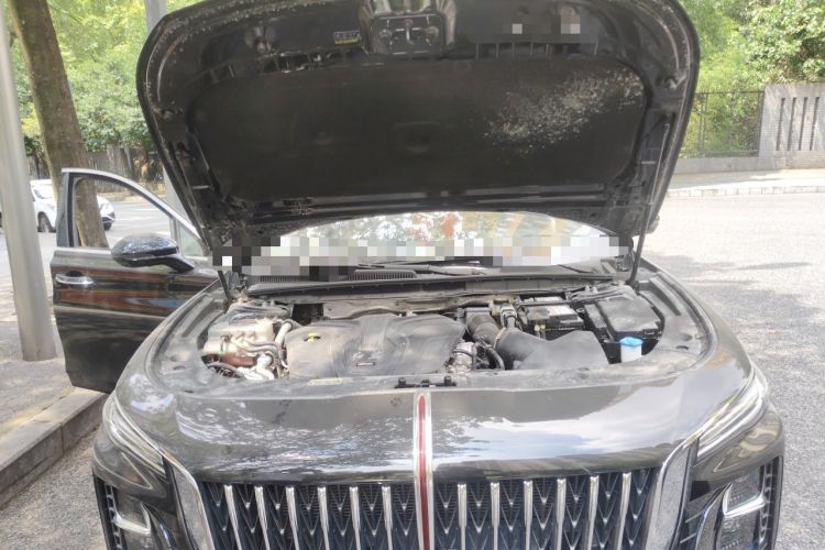 Used Hongqi H5 2024 2.0T Automatic Smart Connect Flagship Edition Engine Bay