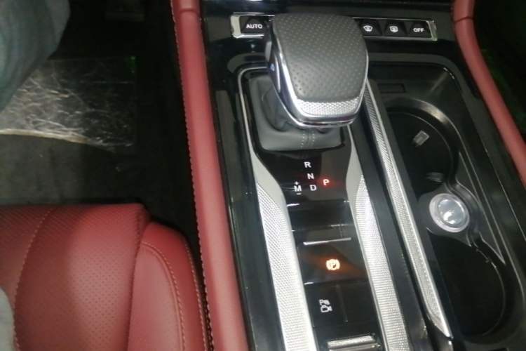 Used Hongqi H5 2024 2.0T Automatic Smart Connect Flagship Edition Gear Lever
