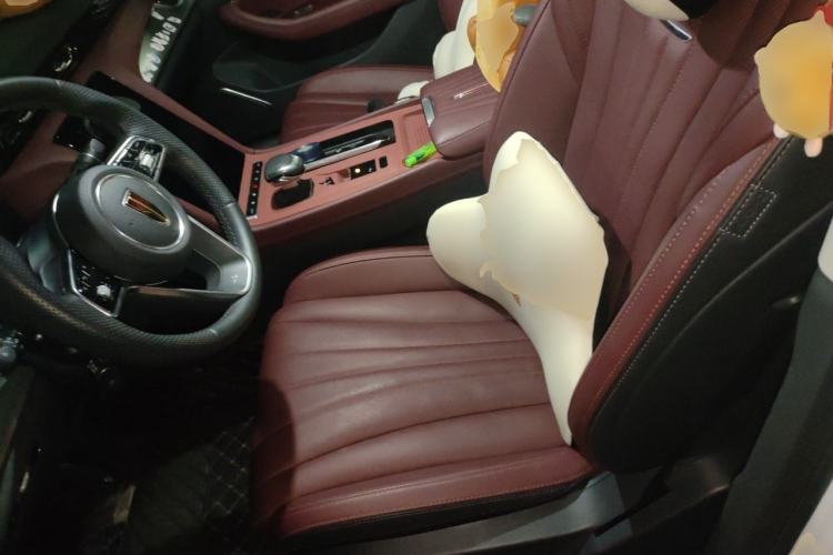 Used Hongqi H5 2024 1.5T DCT Smart Connect Flagship Edition Left Front Seat