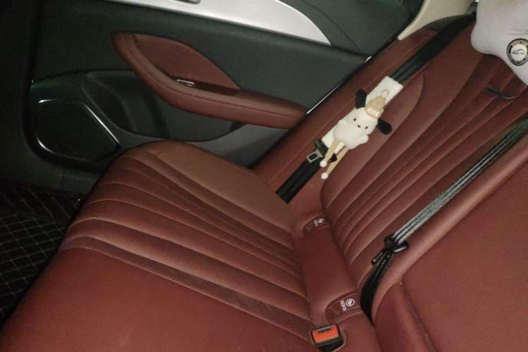 Used Hongqi H5 2024 1.5T DCT Smart Connect Flagship Edition Left Rear Seat