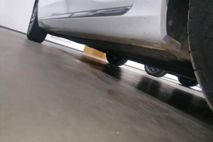 Used Hongqi H5 2024 2.0T Automatic Smart Connect Flagship Edition Right Side Sill