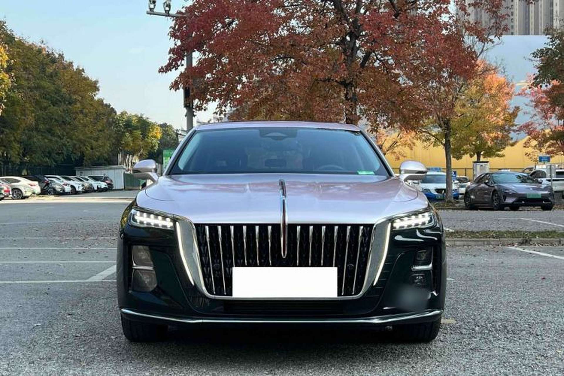 Used Hongqi H5 2024 2.0T Automatic Smart Connect Flagship Edition Exterior 1