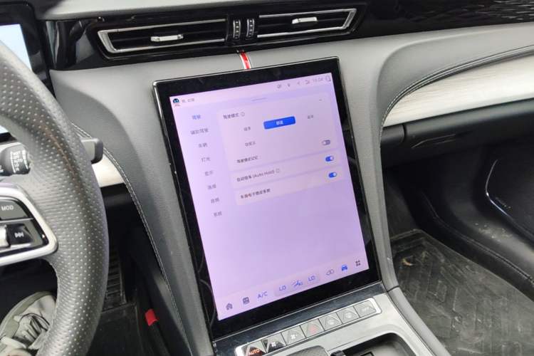 Used Hongqi H5 2025 2.0T Automatic Flag Edition – 500 000 Units Commemorative Version Audio And AC Panel
