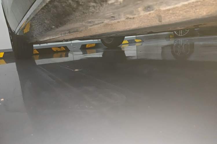 Used Hongqi H5 2025 2.0T Automatic Flag Edition – 500 000 Units Commemorative Version Chassis Front Right