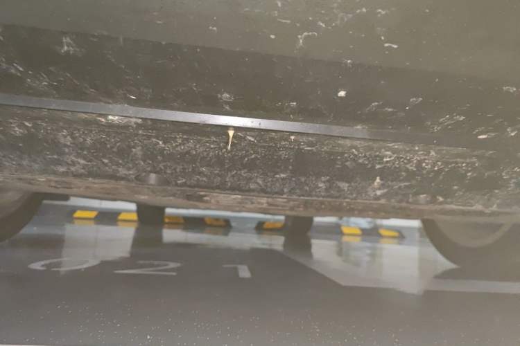 Used Hongqi H5 2025 2.0T Automatic Flag Edition – 500 000 Units Commemorative Version Chassis Front