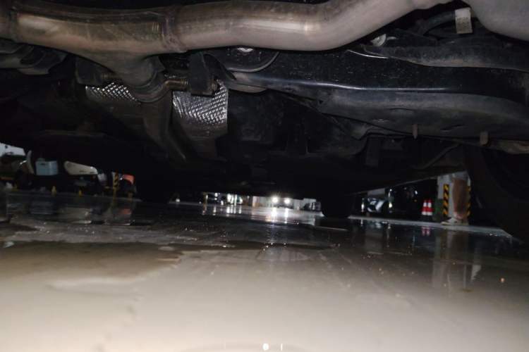 Used Hongqi H5 2025 2.0T Automatic Flag Edition – 500 000 Units Commemorative Version Chassis Rear