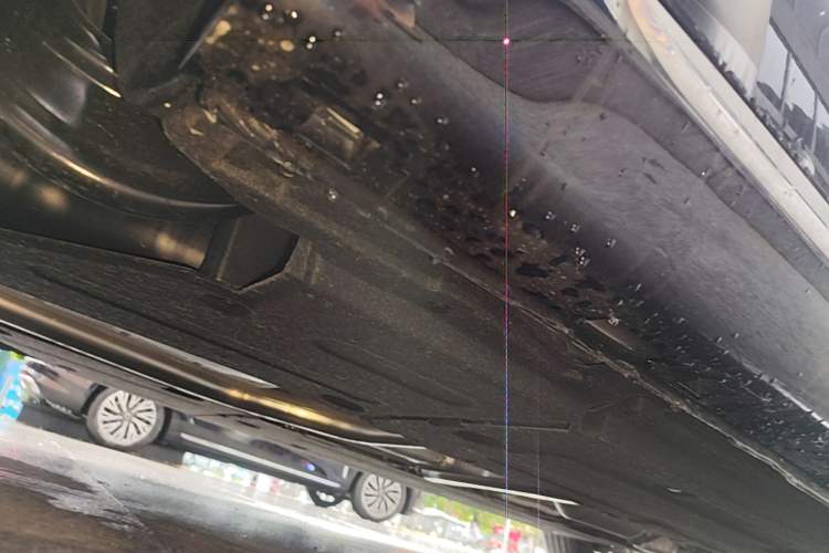 Used Hongqi H5 2025 2.0T Automatic Flag Edition – 500 000 Units Commemorative Version Chassis Rear Right