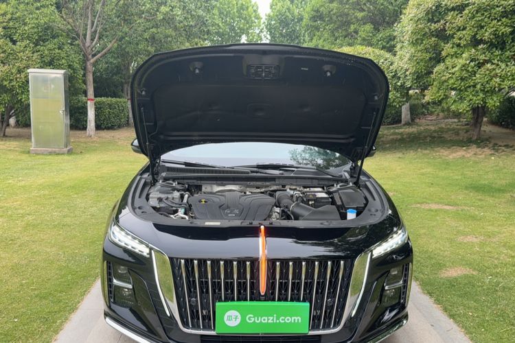 Used Hongqi H5 2025 2.0T Automatic Flag Edition – 500 000 Units Commemorative Version Engine Bay