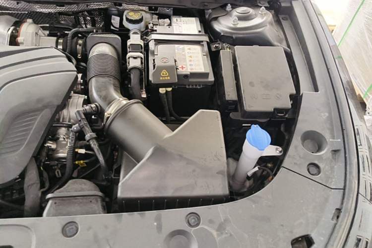 Used Hongqi H5 2025 2.0T Automatic Flag Edition – 500 000 Units Commemorative Version Engine Bay Left