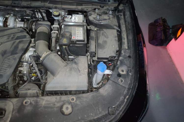Used Hongqi H5 2025 2.0T Automatic Flag Edition – 500 000 Units Commemorative Version Engine Bay Left
