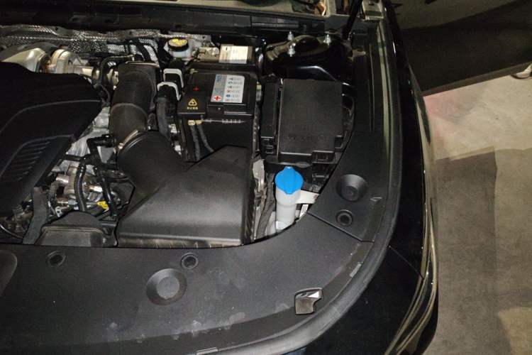 Used Hongqi H5 2025 2.0T Automatic Flag Edition – 500 000 Units Commemorative Version Engine Bay Left