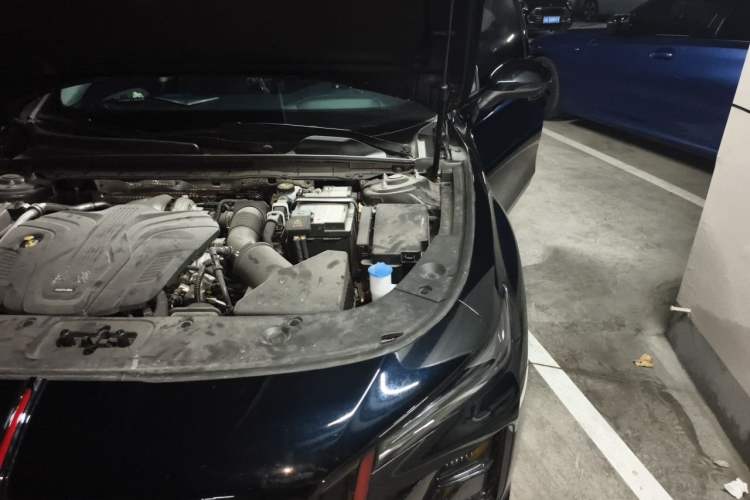 Used Hongqi H5 2025 2.0T Automatic Flag Edition – 500 000 Units Commemorative Version Engine Bay Left
