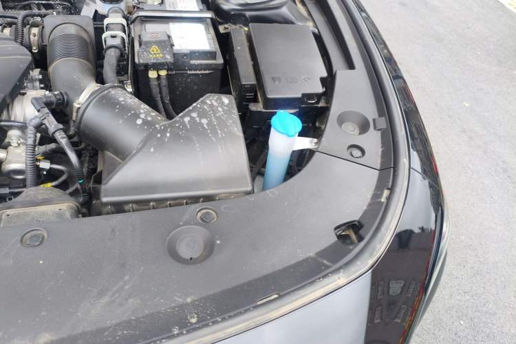 Used Hongqi H5 2025 2.0T Automatic Flag Edition – 500 000 Units Commemorative Version Engine Bay Left