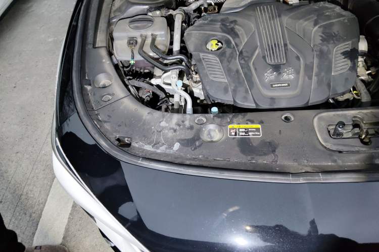 Used Hongqi H5 2025 2.0T Automatic Flag Edition – 500 000 Units Commemorative Version Engine Bay Right