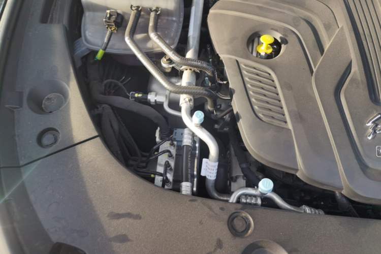 Used Hongqi H5 2025 2.0T Automatic Flag Edition – 500 000 Units Commemorative Version Engine Bay Right