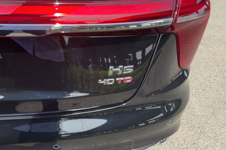 Used Hongqi H5 2025 2.0T Automatic Flag Edition – 500 000 Units Commemorative Version Exterior 2