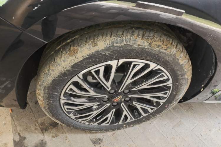 Used Hongqi H5 2025 2.0T Automatic Flag Edition – 500 000 Units Commemorative Version Exterior 4