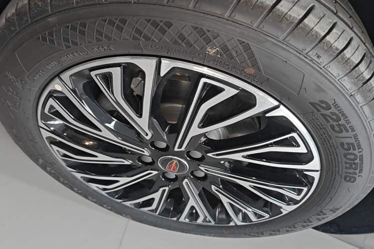Used Hongqi H5 2025 2.0T Automatic Flag Edition – 500 000 Units Commemorative Version Exterior 4