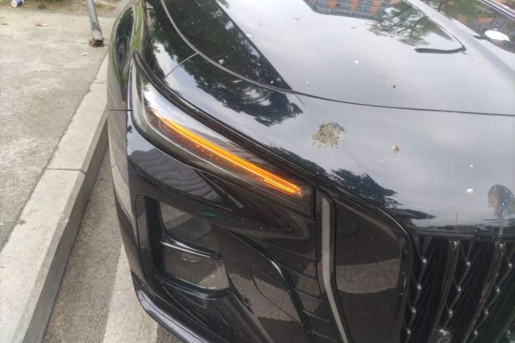Used Hongqi H5 2025 Model 1.5T DCT Xuan Ying 2 Million Units Commemorative Edition Exterior 6