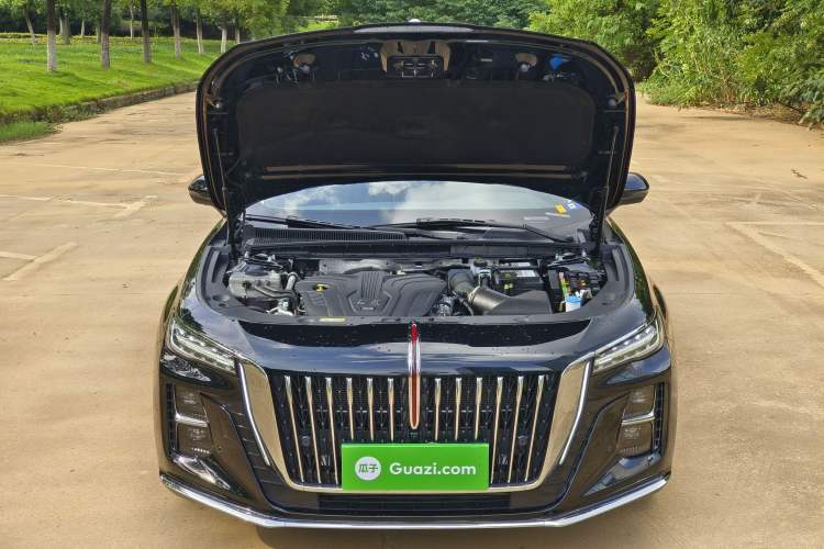Used Hongqi H5 2025 2.0T Automatic Flag Edition – 500 000 Units Commemorative Version Exterior 8