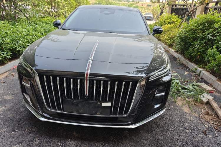 Used Hongqi H5 2025 2.0T Automatic Flag Edition – 500 000 Units Commemorative Version Front