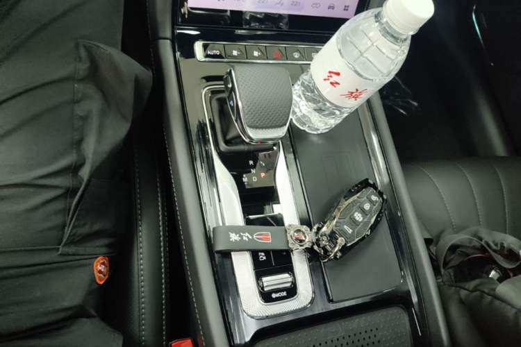 Used Hongqi H5 2025 Model 2.0T Automatic Xuan Ying 2 Million Units Commemorative Edition Gear Lever