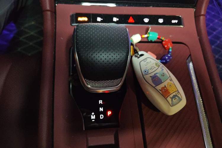 Used Hongqi H5 2025 2.0T Automatic Flag Edition – 500 000 Units Commemorative Version Gear Lever