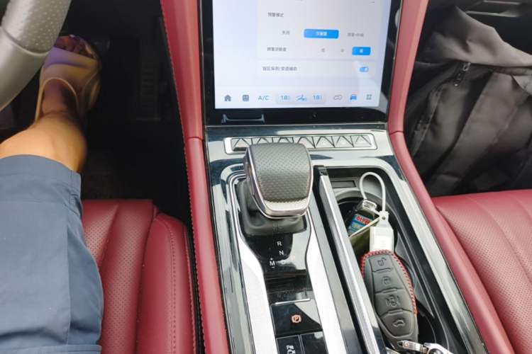 Used Hongqi H5 2025 2.0T Automatic Flag Edition – 500 000 Units Commemorative Version Gear Lever