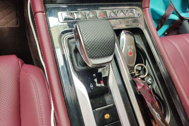 Used Hongqi H5 2025 2.0T Automatic Flag Edition – 500 000 Units Commemorative Version Gear Lever