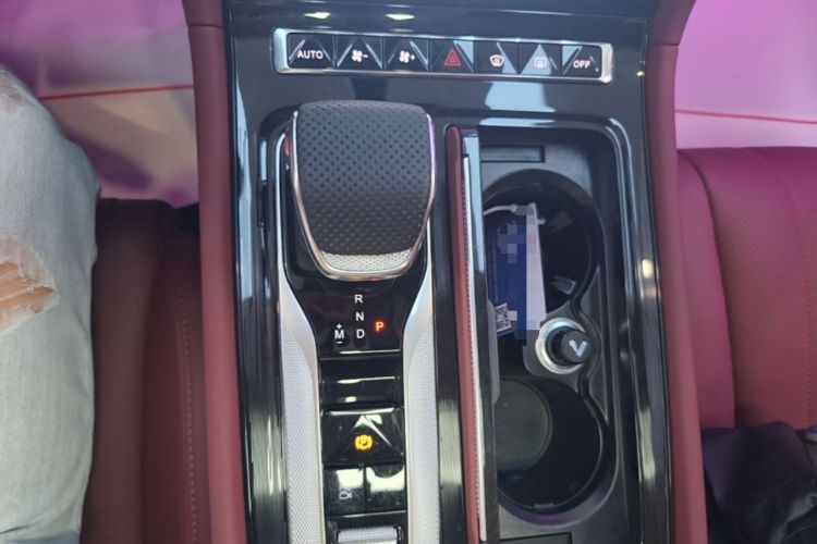 Used Hongqi H5 2025 2.0T Automatic Flag Edition – 500 000 Units Commemorative Version Gear Lever