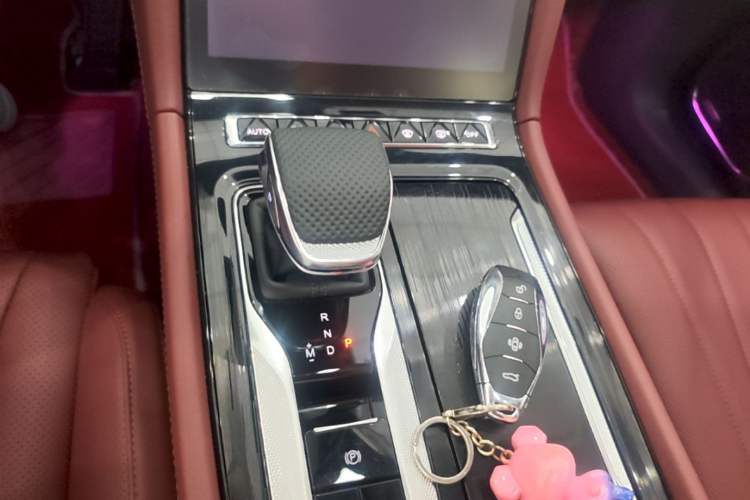Used Hongqi H5 2025 2.0T Automatic Flag Edition – 500 000 Units Commemorative Version Gear Lever