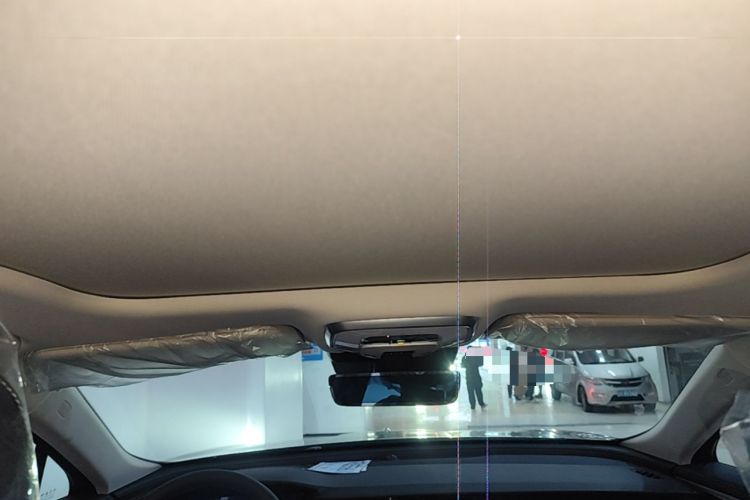 Used Hongqi H5 2025 2.0T Automatic Flag Edition – 500 000 Units Commemorative Version Headliner