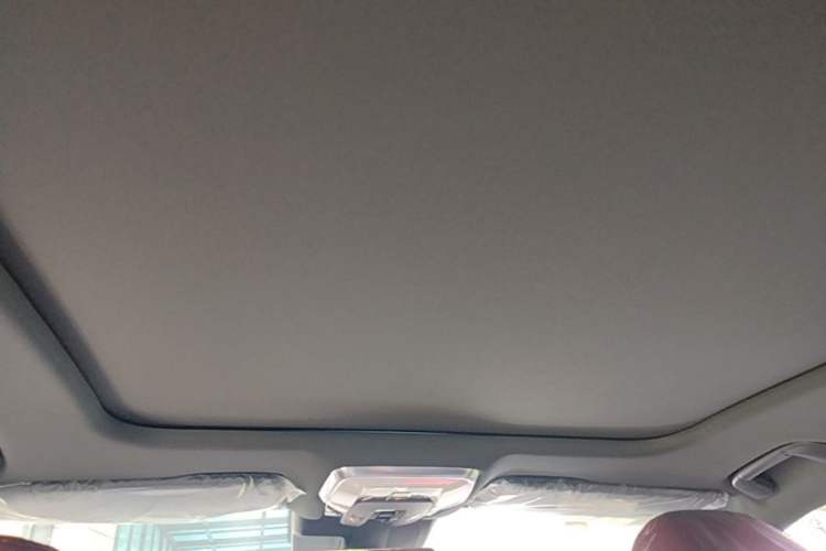 Used Hongqi H5 2025 2.0T Automatic Xuan Ying Edition Headliner