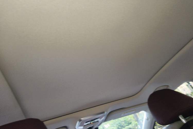 Used Hongqi H5 2025 2.0T Automatic Flag Edition – 500 000 Units Commemorative Version Headliner