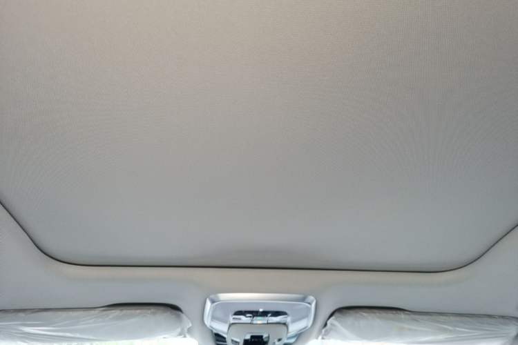 Used Hongqi H5 2025 2.0T Automatic Flag Edition – 500 000 Units Commemorative Version Headliner