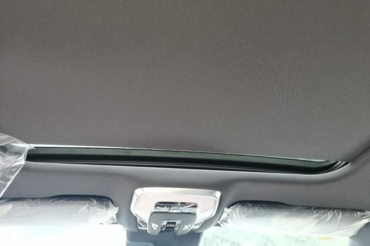 Used Hongqi H5 2025 2.0T Automatic Xuan Ying Edition Headliner