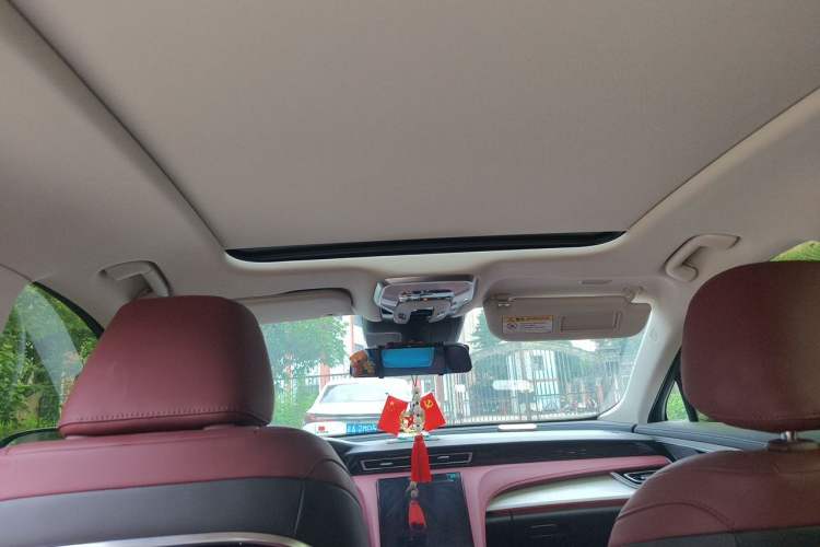 Used Hongqi H5 2025 2.0T Automatic Flag Edition – 500 000 Units Commemorative Version Headliner
