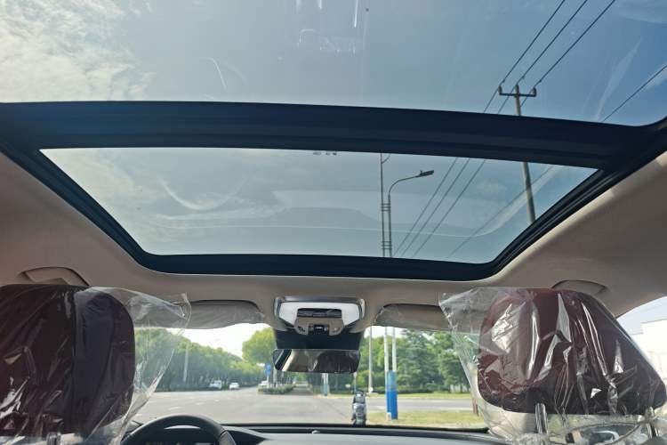 Used Hongqi H5 2025 2.0T Automatic Flag Edition – 500 000 Units Commemorative Version Headliner