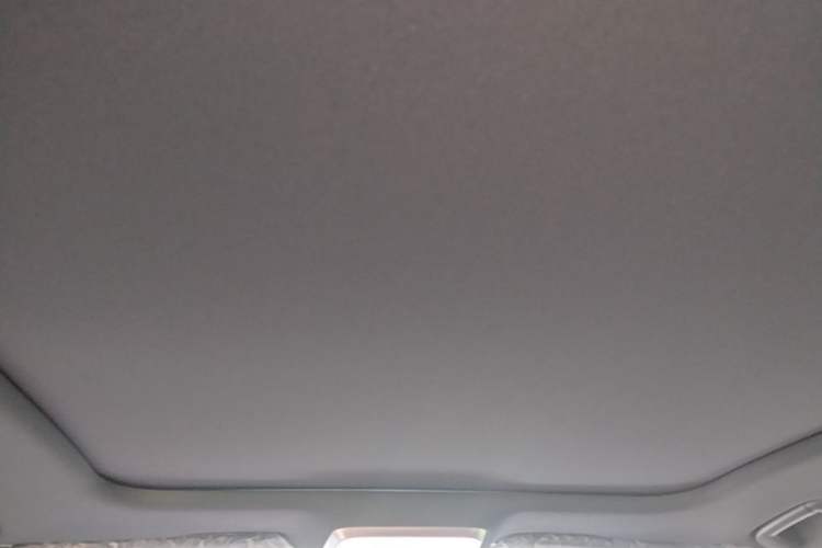 Used Hongqi H5 2025 2.0T Automatic Xuan Ying Edition Headliner