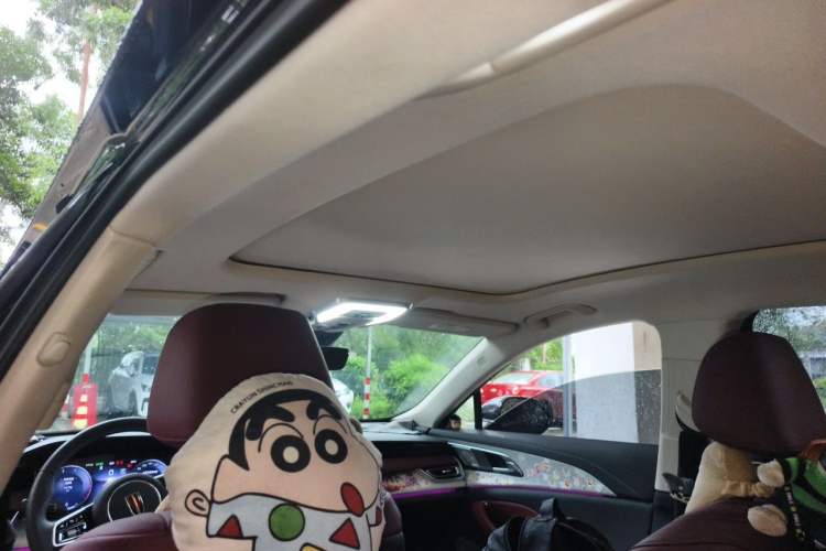 Used Hongqi H5 2025 2.0T Automatic Flag Edition – 500 000 Units Commemorative Version Headliner