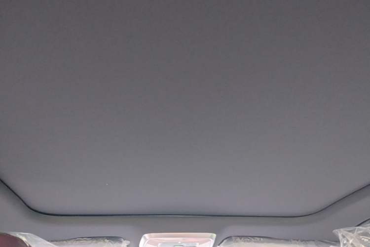 Used Hongqi H5 2025 2.0T Automatic Xuan Ying Edition Headliner