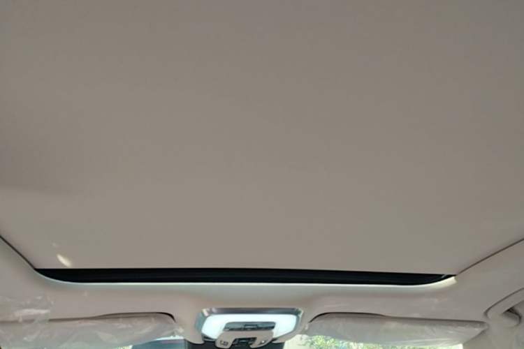 Used Hongqi H5 2025 2.0T Automatic Flag Edition – 500 000 Units Commemorative Version Headliner