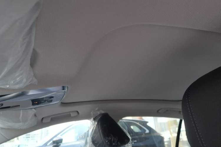 Used Hongqi H5 2025 2.0T Automatic Flag Edition – 500 000 Units Commemorative Version Headliner