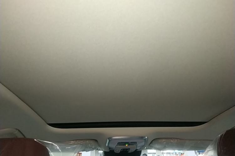 Used Hongqi H5 2025 2.0T Automatic Flag Edition – 500 000 Units Commemorative Version Headliner