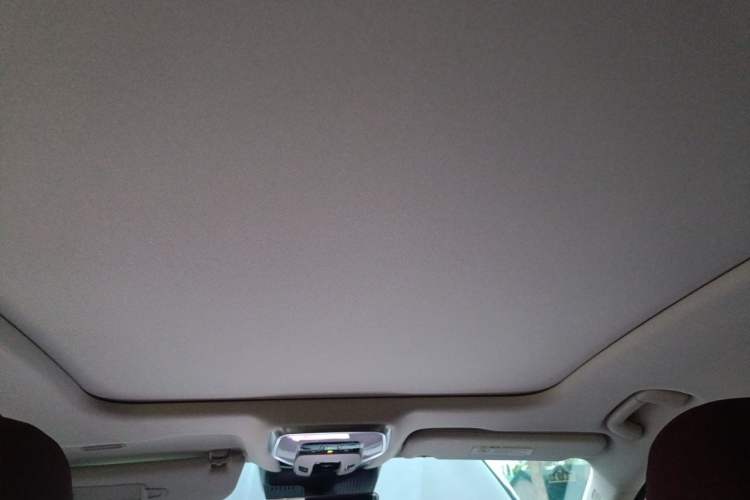 Used Hongqi H5 2025 2.0T Automatic Flag Edition – 500 000 Units Commemorative Version Headliner